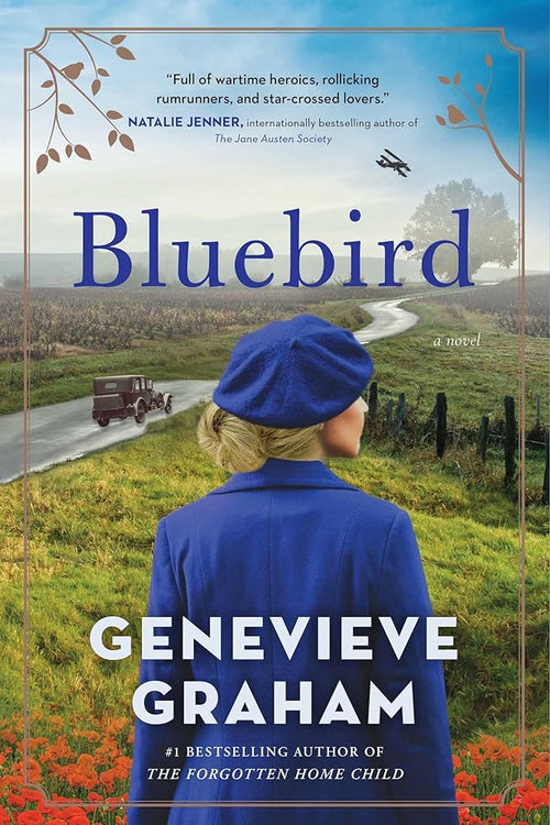 Bluebird: A Novel cover image