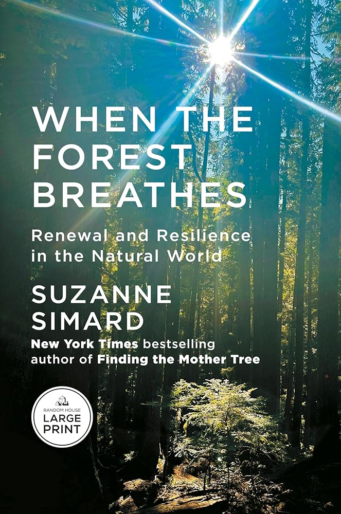 When the Forest Breathes: Renewal and Resilience in the Natural World cover image