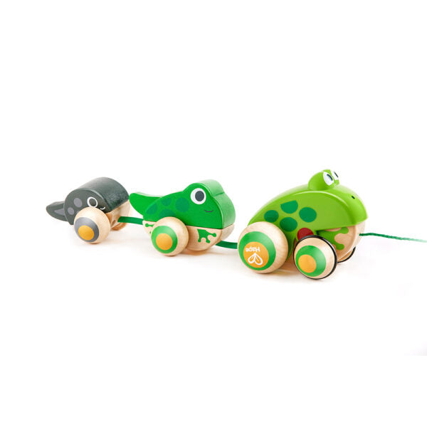PULL-ALONG FROG FAMILY