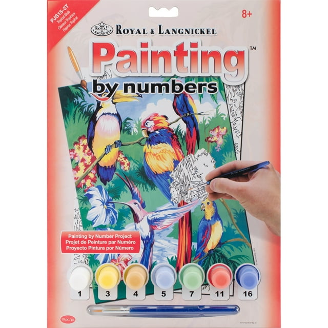 Paint By Numbers : Tropical Birds