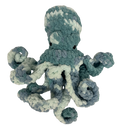 Small Octopus
