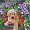 Crystal Art: Floral Pup