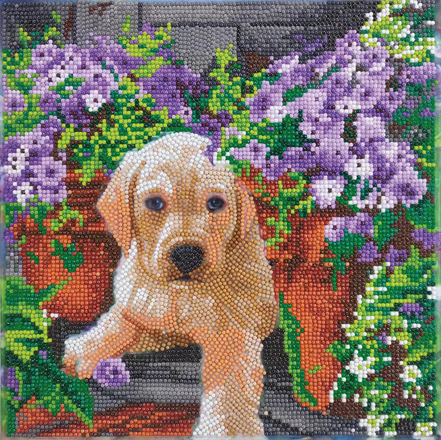 Crystal Art: Floral Pup