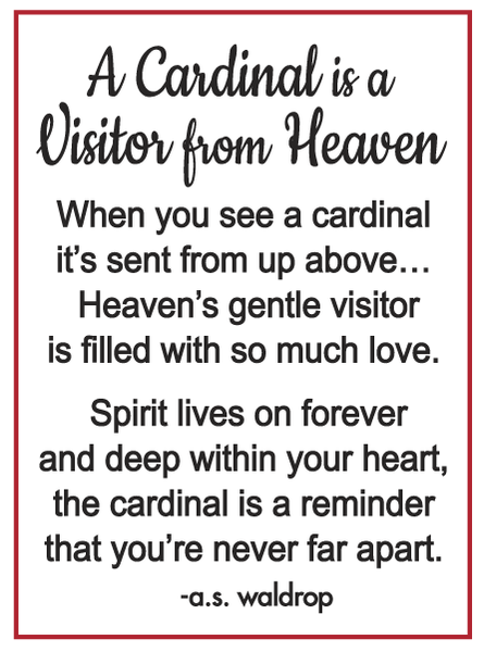 A Cardinal is a Visitor from Heaven Charms