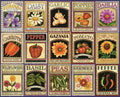 Springbok Garden Goodness 1000pc puzzle