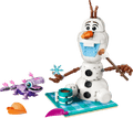 Lego 43287 Frozen Olaf and Bruni’s Picnic Fun