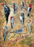 Cobble Hill Puzzle- Notable Wood Peckers 500pc