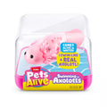 PETS ALIVE - SWIMMING AXOLOTL