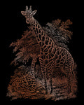 Engraving Art : Giraffe & Baby