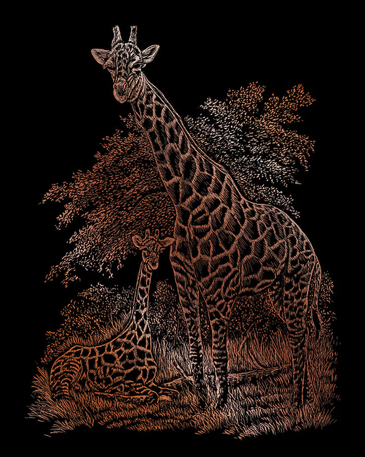 Engraving Art : Giraffe & Baby