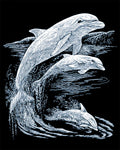 Engraving Art : Dolphins