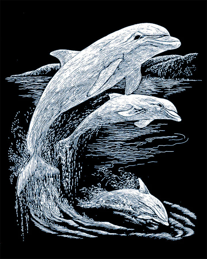 Engraving Art : Dolphins