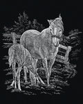 Engraving Art : Mare & Foal