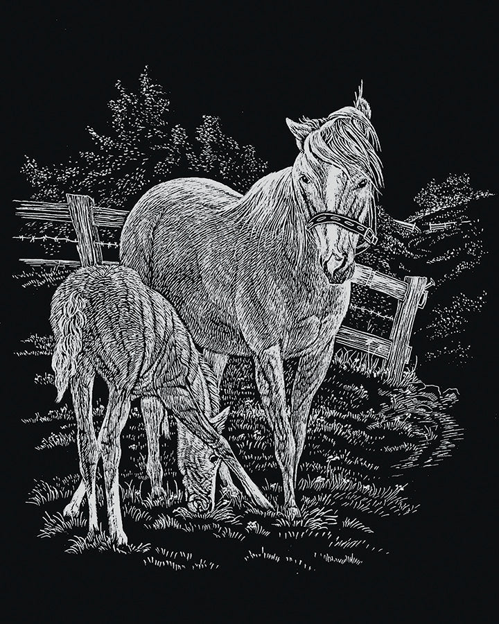 Engraving Art : Mare & Foal