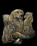 Engraving Art : Golden Retrievers