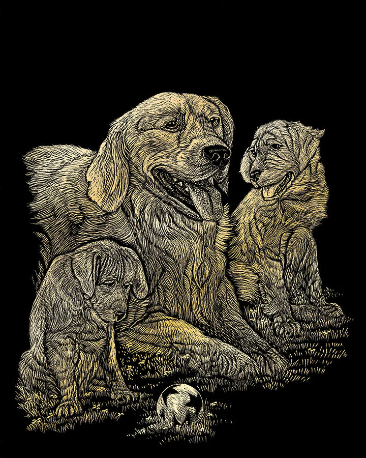 Engraving Art : Golden Retrievers