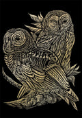 Engraving Art: Owls