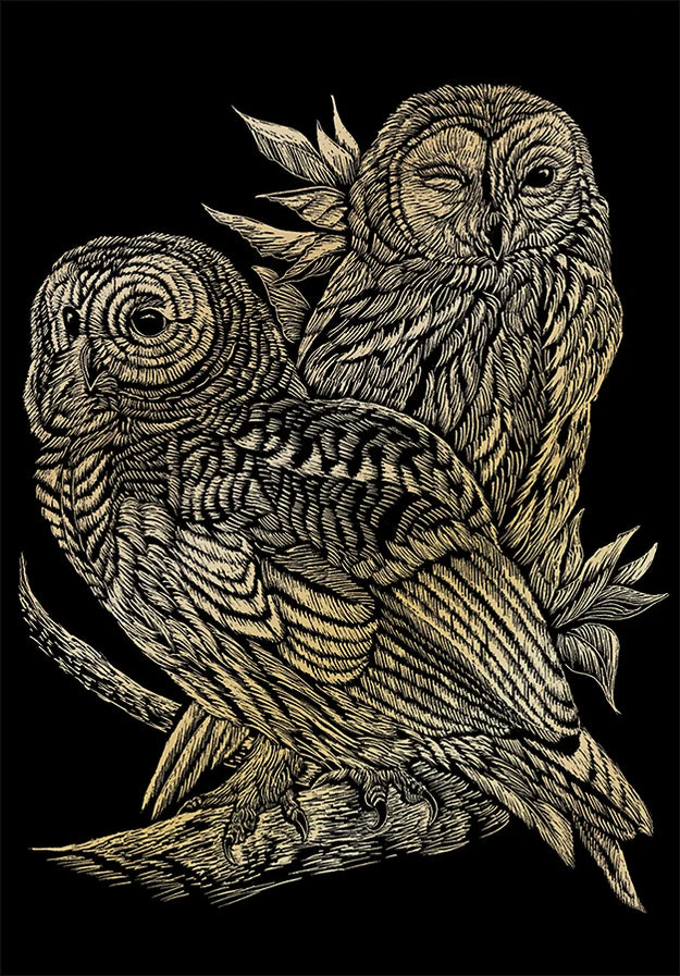 Engraving Art: Owls