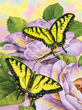 Paint By Numbers : Swallowtail Butterflies