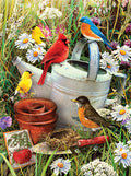 Paint By Numbers : Garden Birds