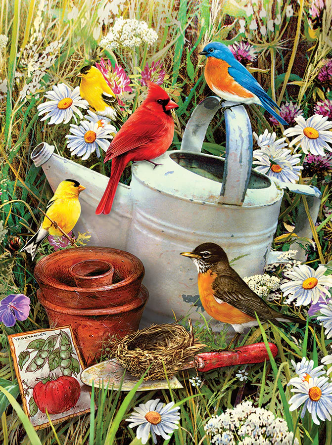 Paint By Numbers : Garden Birds