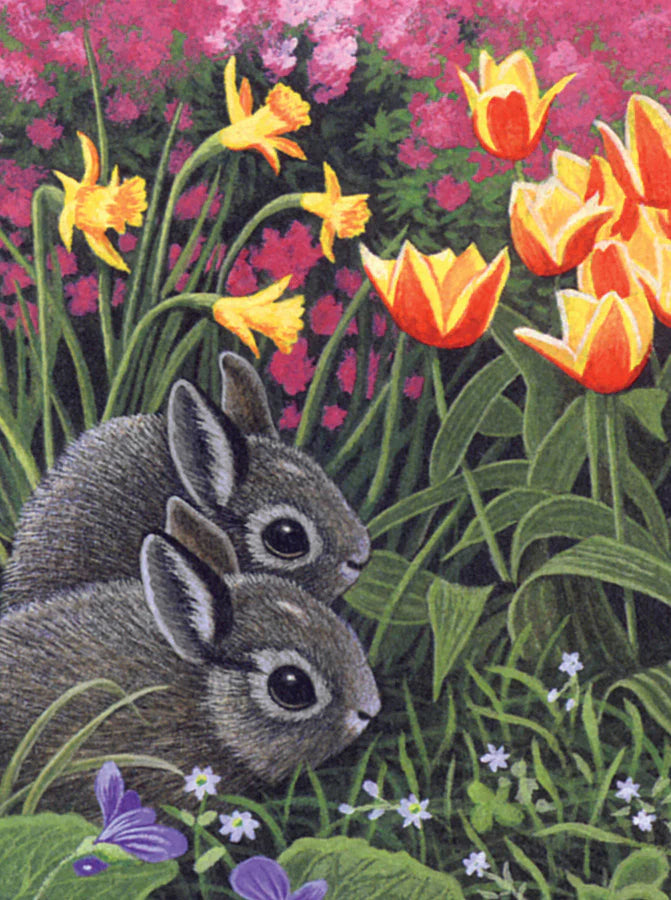 Paint By Numbers : Spring Bunnies