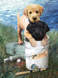 Paint By Numbers : Fishin’ Buddies